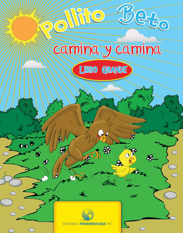 Pollito Beto camina y camina